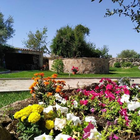 El Lagar Del Abuelo En Los Arribes Del Duero, Badilla, Zamora Luaran gambar