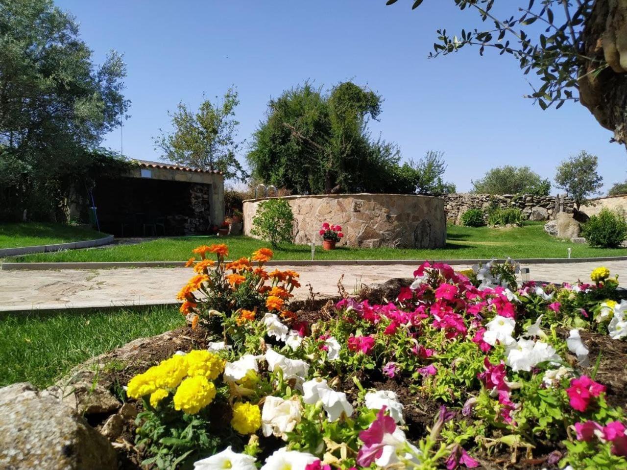 El Lagar Del Abuelo En Los Arribes Del Duero, Badilla, Zamora Luaran gambar