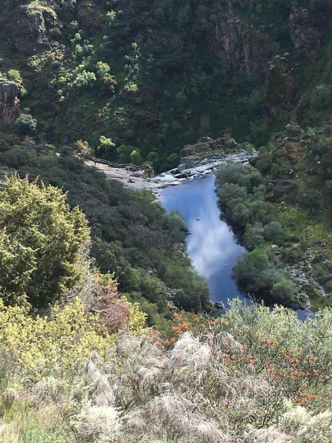 El Lagar Del Abuelo En Los Arribes Del Duero, Badilla, Zamora Luaran gambar